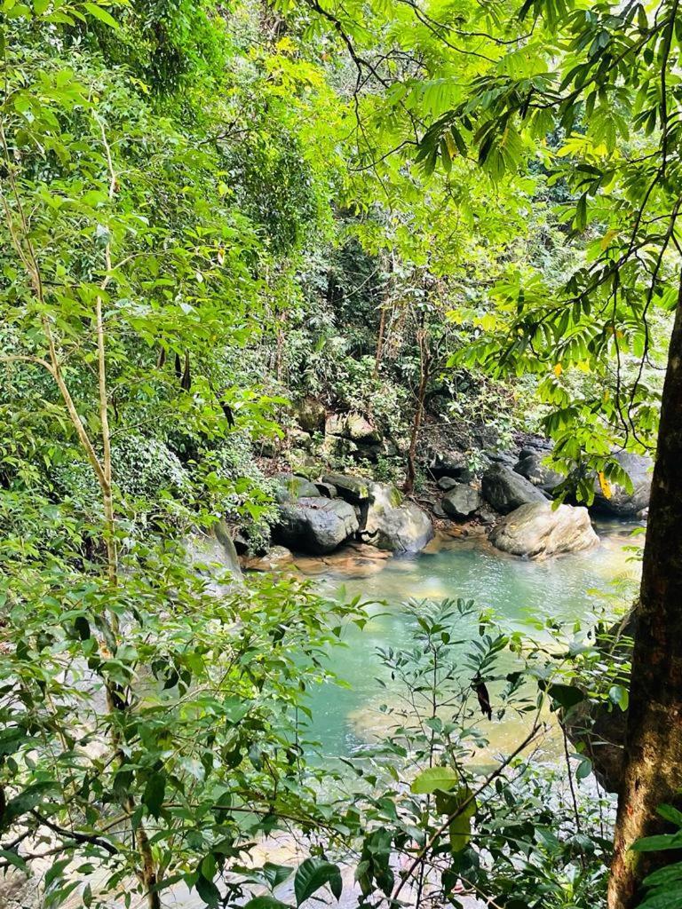 Gallene Gala Nature Resort Kitulgala Eksteriør billede